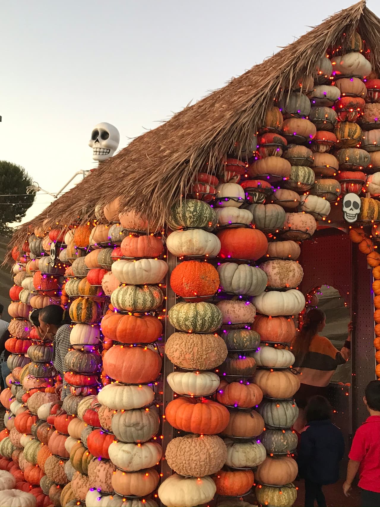 Si te lo tomas en serio, puedes crear hasta tu propia cabaña de calabazas.