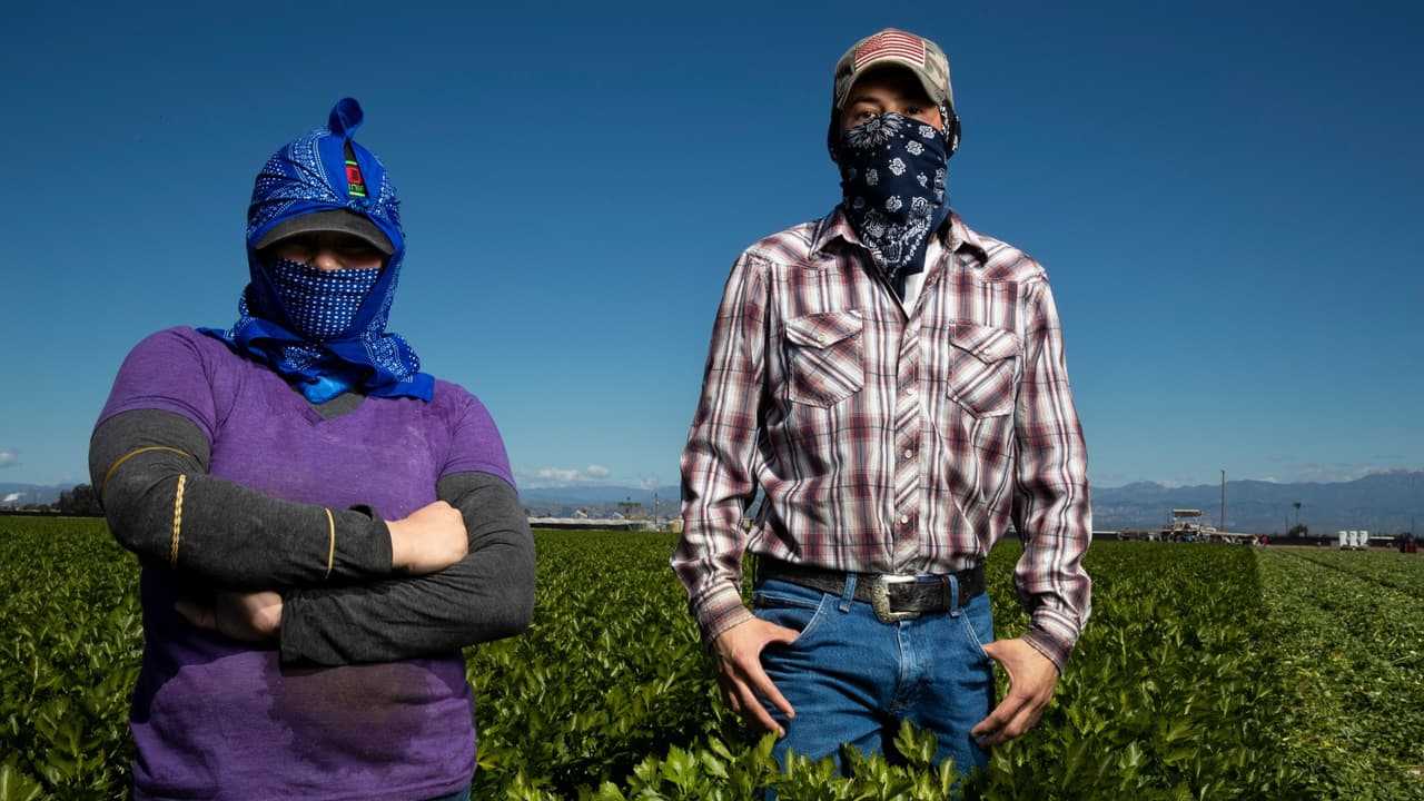 Pero además, la legislatura aprobó $600 para todos aquellos que 
<b>ganan menos de $75,000 anuales</b>, que declaran impuestos con ITIN y que fueron excluidos de la ayuda federal del año pasado.