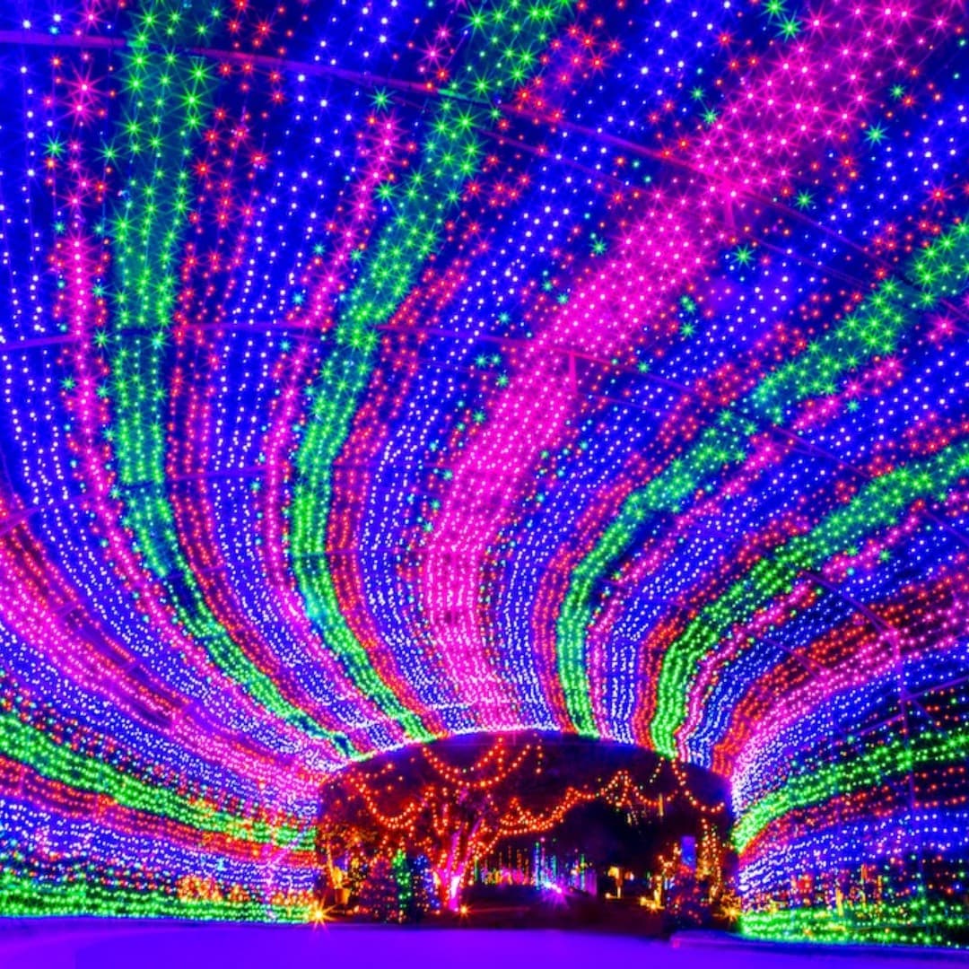 En un horario de 7pm a 10pm, puedes entrar gratis a Austin Trail of Lights, estos días de diciembre: 8, 10, 12, 13, 14, 15, y 19. Aquí puedes ver el 
<a href="https://austintrailoflights.org/calendar" target="_blank">calendario completo</a>.