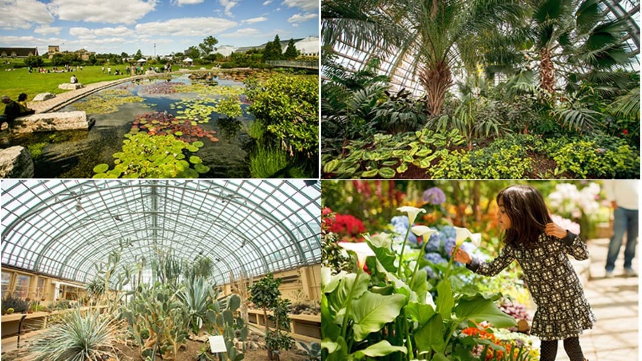 Para quienes buscan conectar con la naturaleza, pueden hacerlo también en el Conservatorio de Garfield Park, ubicado en 
<a href="https://www.google.com/maps/place/300+N+Central+Park+Ave,+Chicago,+IL+60624/data=!4m2!3m1!1s0x880e32b7f3180569:0x279e9dcbd4d362d2?sa=X&ved=0ahUKEwipr9KLso3OAhVs0YMKHetFB9UQ8gEILTAC" target="_blank">300 N. Central Park Ave.</a>