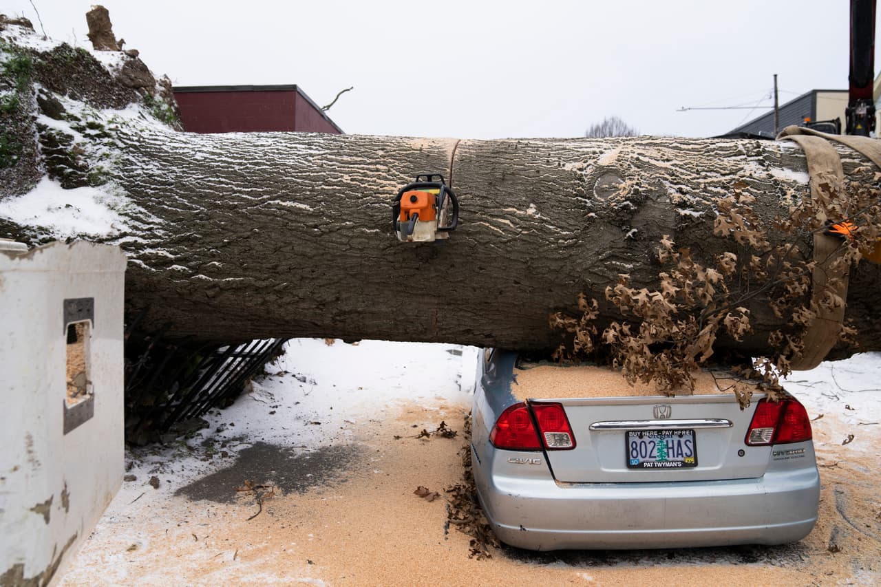 Debio a las condiciones del tiempo, trabajadores debieron suspender el corte de un árbol gigante que cayó sobre una casa y un auto en Portland, Oregon.