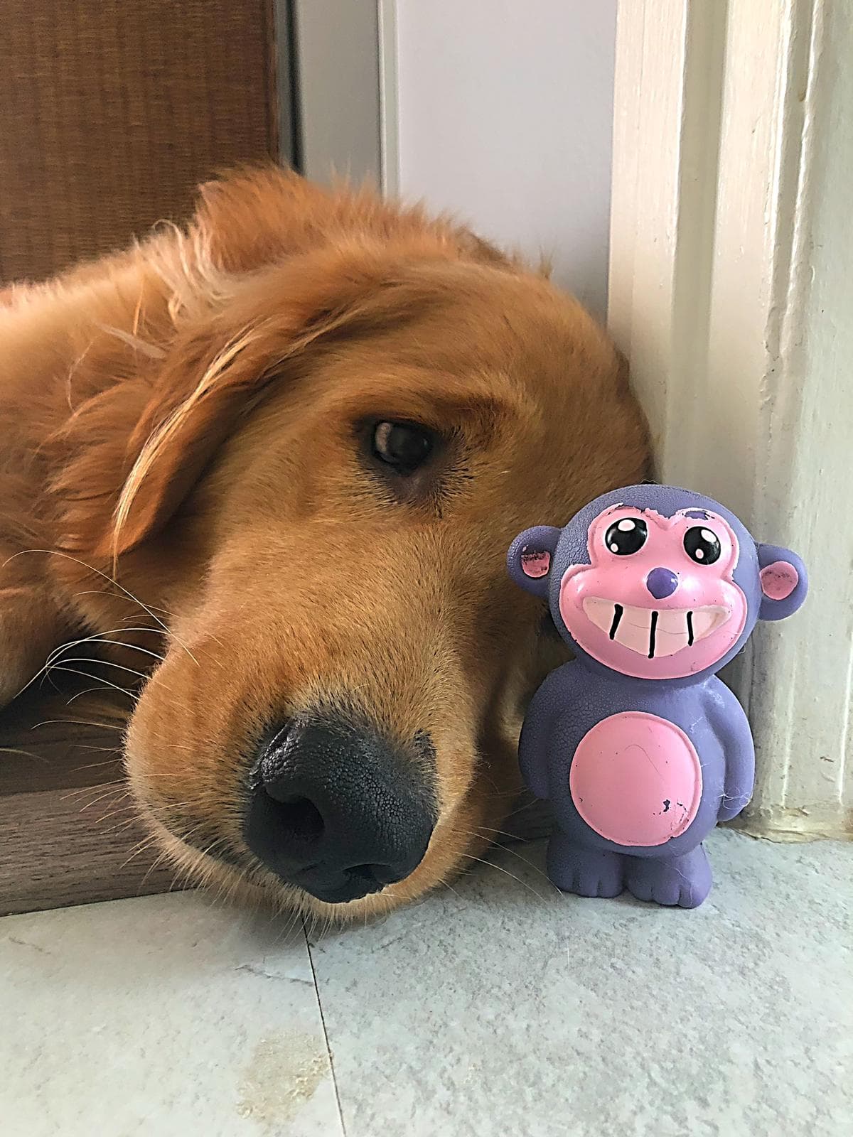 Esta es otra foto de Enzo Navarro con su juguete favorito.