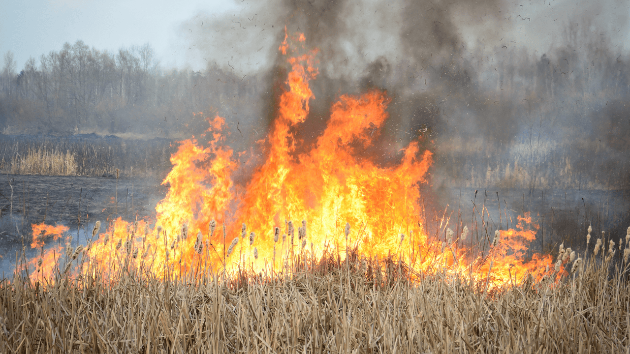Cada año se registran cientos de incendios forestales en Estados Unidos, algunos hogares logran sobrevivir, mientras que otros sucumben al fuego. Los incendios forestales frecuentemente inician a causa de un rayo o de accidentes, y el fuego casi siempre pasa desapercibido.
<br>
<br>
<b>Sigue los pasos siguientes para proteger a tu familia y tu propiedad</b>, recomendados por ready.gov y readyforwildfire.gov.
