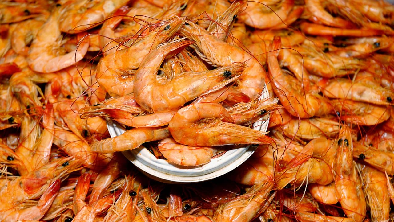 <h2 class="cms-H2-H2">Crustáceos vivos, crudos o secos</h2>
<br>México no permite bajo ninguna circunstancia llevar crustáceos como camarones, langostas o cangrejos. No importa la presentación en la que se lleven, las autoridades federales no permitirán su acceso si lo llegan a ver.