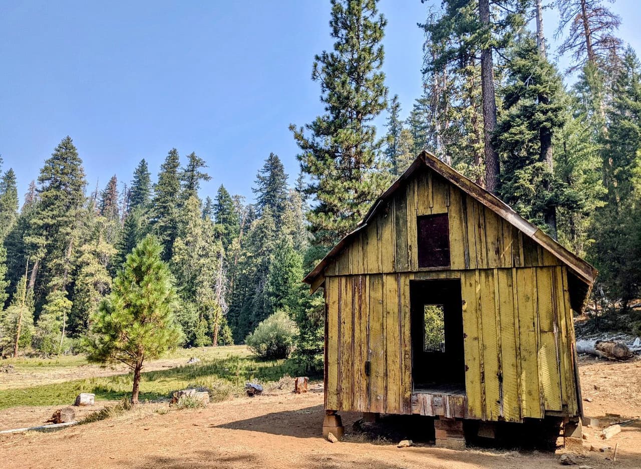 El 
<a href="https://www.fs.usda.gov/stnf/" target="_blank">Bosque Nacional Shasta-Trinity.</a>