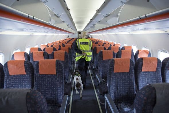 Comenzaron a trabajar en la aduana en 1978, cuando solamente eran usados para detectar drogas.