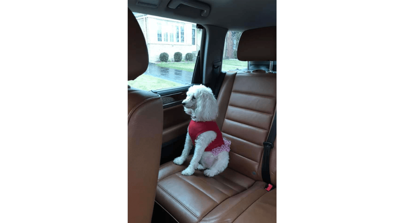 "Esta es mi hija Daisy tiene 12 años conmigo".