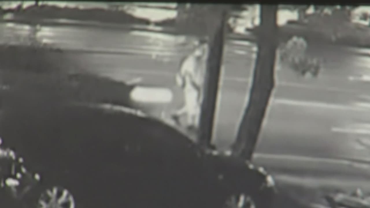 Conductor se da a la fuga tras causarle la muerte a un hispano en Fort Lauderdale