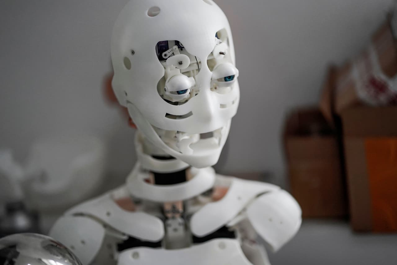 En el próximo año Exdoll lanzará robots más avanzados en inteligencia artificial, con expresiones faciales complejas, movimientos corporales, sistemas de reconocimiento de voz y ojos que podrán seguir los movimientos de las personas. Se estima que China fabrica más del 80% de los juguetes sexuales del mundo, con más de un millón de personas empleadas en una industria de 6,600 millones de dólares.