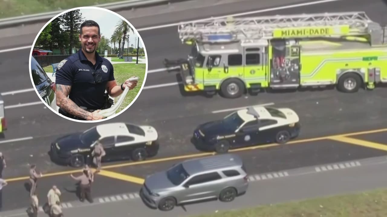 Muere un oficial de Miami Beach tras trágico accidente en motocicleta: esto es lo que se sabe