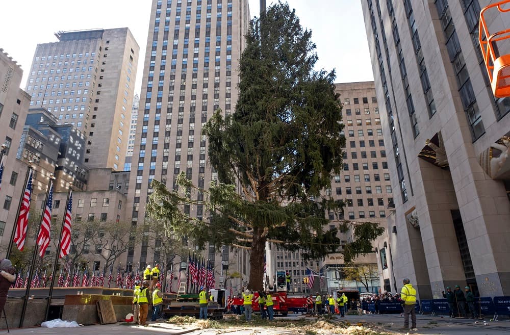 El primer árbol de Navidad que quedó instalado en el lugar fue colocado en 1931 por trabajadores de la construcción en el sitio donde se estaba levantando el Rockefeller Center.
<br>