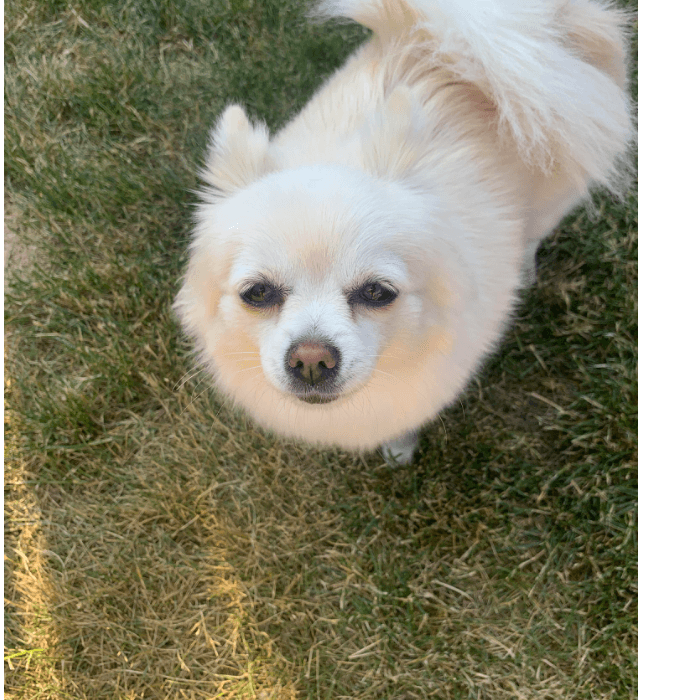 Luna durante un día de juegos