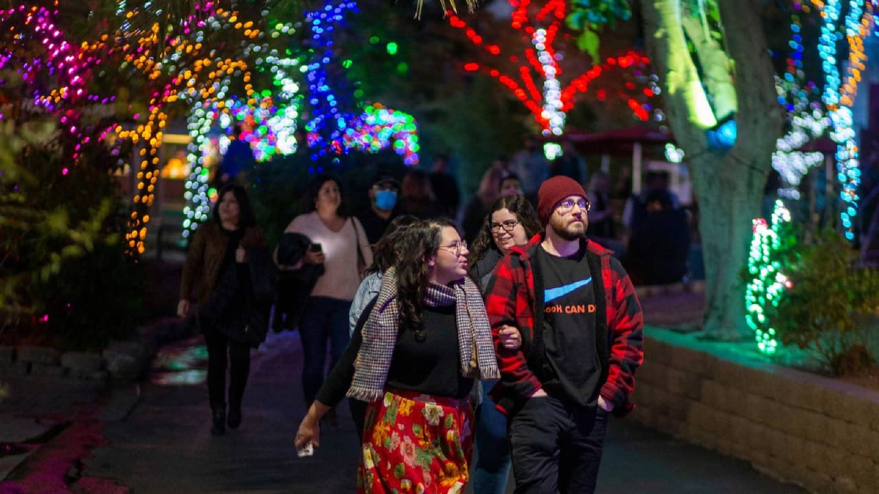 <b>Zoolights</b>
<br>Cuándo: 22 de noviembre al 14 de enero de 2024
<br>Dónde: 455 North Galvin Parkway, Phoenix
<br>Costo: A partir de $30
<br>
<a href="https://www.phoenixzoo.org/events/zoolights/" target="_blank">Más detalles en este enlace.</a>