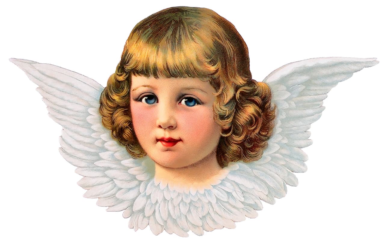 <b>Virgo</b>
<br>El Sutil es tu ángel, recíbelo con tres claveles rojos y pídele que te ayude a descubrir engaños y dice así “ahora debes de estar en calma, eleva tus brazos al cielo, confía en mi yo sé cómo ayudarte y siempre lo haré”.
<br>