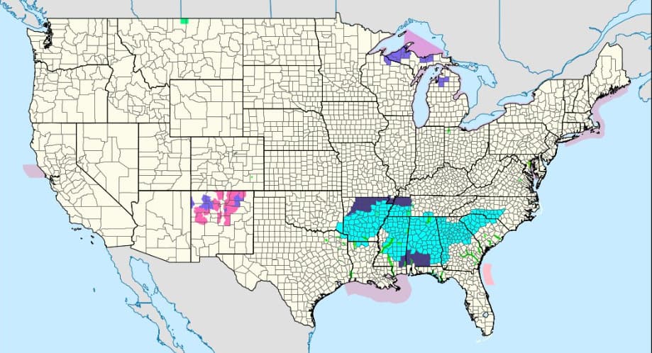 Llega la primavera pero con frío invernal en buena parte de EEUU: habrá temperaturas congelantes