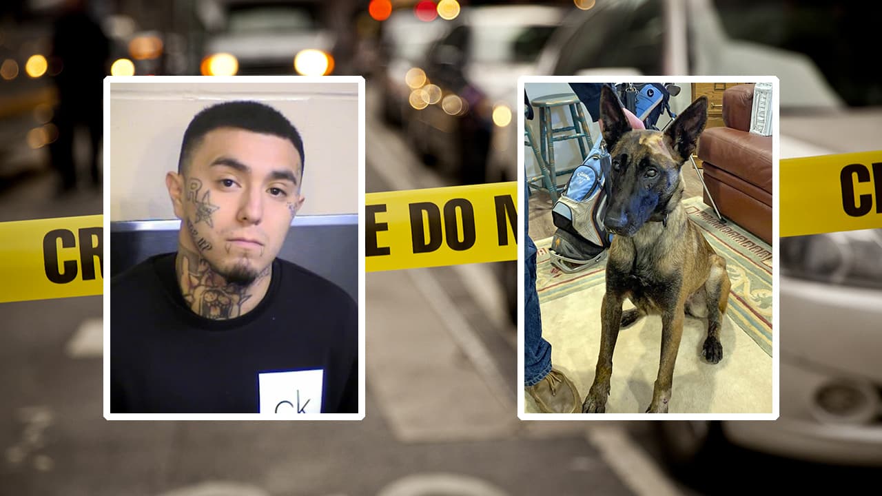 Oficial canino de Fresno se recupera tras ser apuñalado al perseguir a un sospechoso