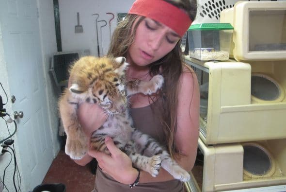 Caipiriña pudo cargar a un cachorro de tigre que le causó mucha ternura.