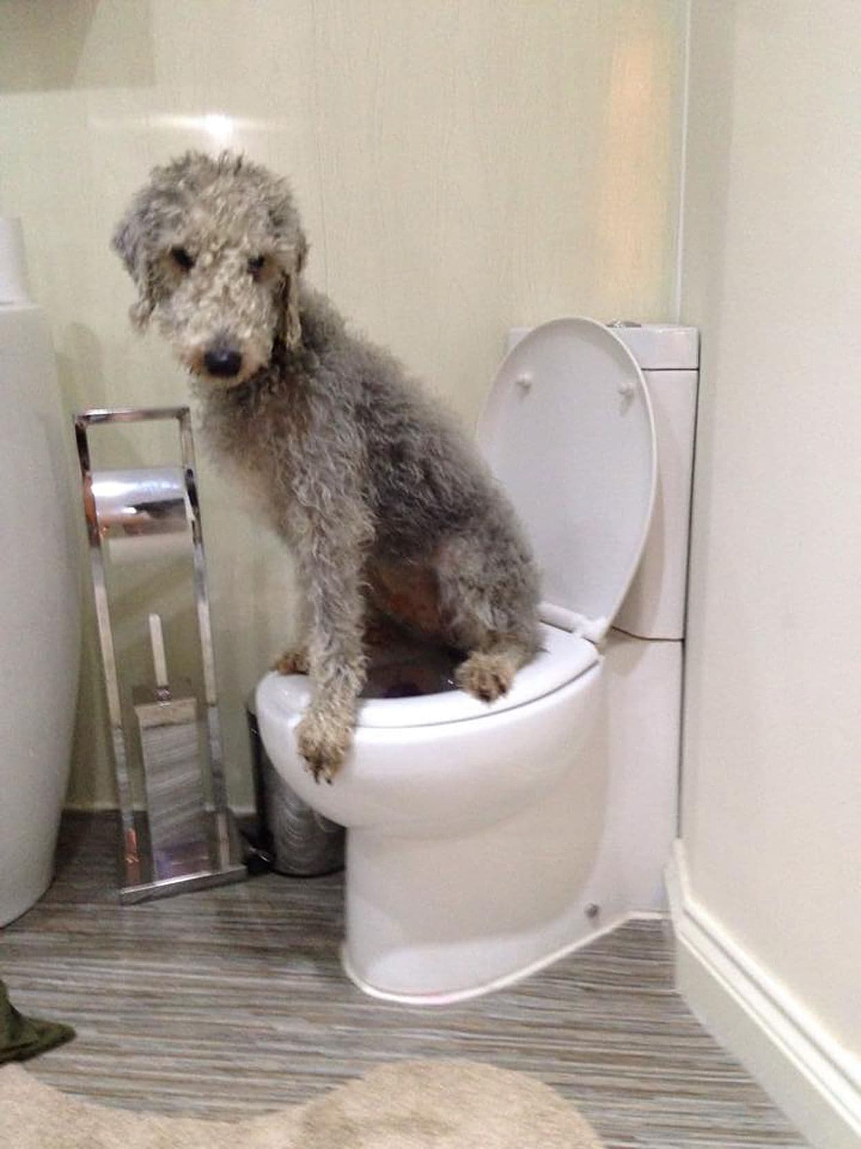 Aunque de hecho sabe más de lo que uno imagina. ¡Ups!