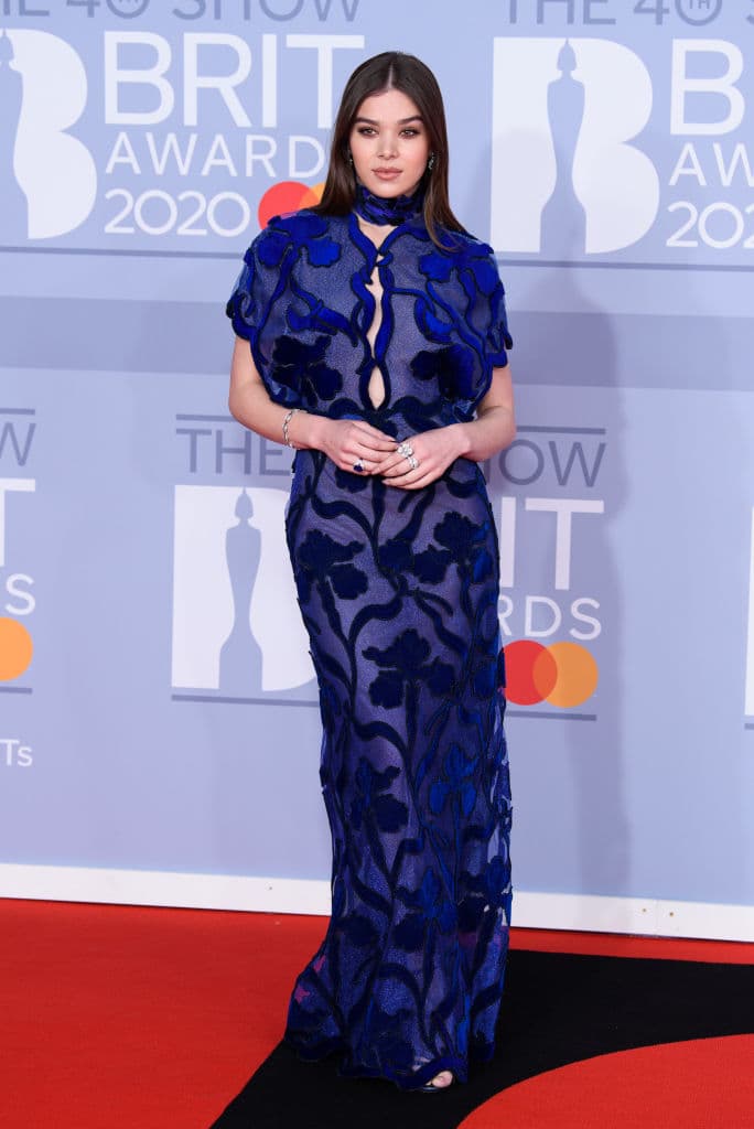 La actriz y cantante 
<b>Hailee Steinfeld</b> acaparó la atención de las cámaras con un vestido transparente en tono azul.