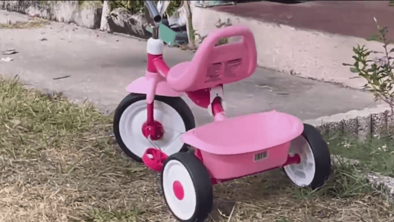 Niña de 2 años muere atropellada por un Tesla durante su cumpleaños en Tampa