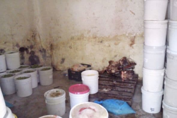 Y con unas condiciones realmente antihigiénicas. (Crédito: PGR).