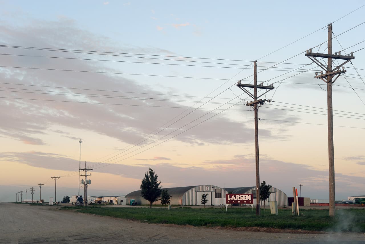 Larsen Farms es uno de los mayores productores de papa del país. Las papas Larsen se distribuyen en todo el país a marcas y minoristas como Green Giant, Whole Foods y Wendy's.