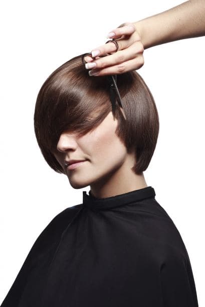 En cambio, si solo encuentras unas pocas que han florecido, es probable que puedas esperar un poco más.