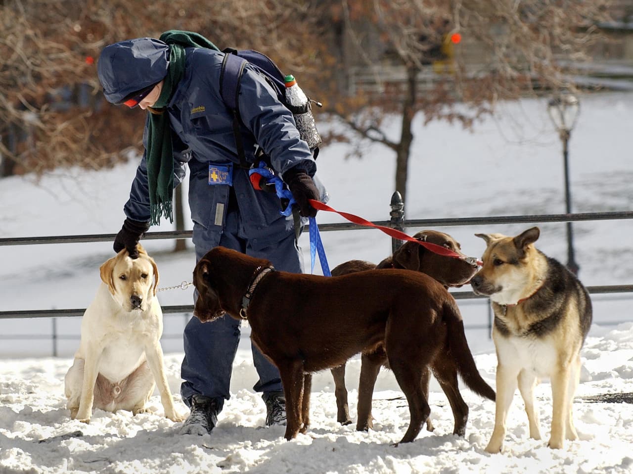 <ul>
<li style="margin: 0px; padding: 0px; border: 0px; font-size: 14px; font-weight: inherit; font-style: inherit; font-family: Antenna, Arial, "Helvetica Neue", Helvetica, sans-serif; vertical-align: baseline; line-height: 1.5;"><b>Evita bañarlo con frecuencia</b>. La recomendación es hacerlo una vez al mes, y si se hace en casa procura que el baño sea con agua tibia y en un lugar cerrado. Es muy importante que lo seques adecuadamente y lo mantengas en un sitio calientito. No lo saques al frío después de bañarlo, el cambio de temperatura puede afectar su salud.</li>
</ul>