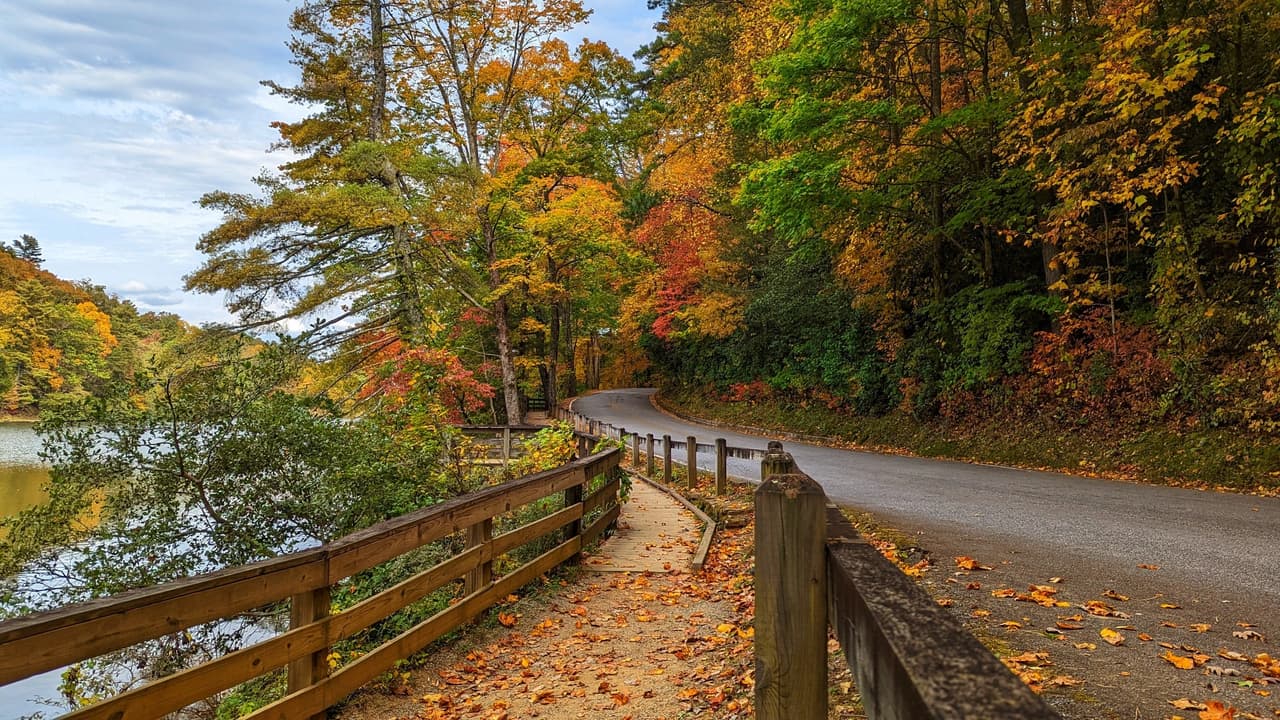Los excursionistas pueden elegir entre una variedad de senderos, incluido el popular bucle Bear Hair Gap de 4 millas, un sencillo tramo en el lago que conduce a Trahlyta Falls y el desafiante Coosa de 13 millas.