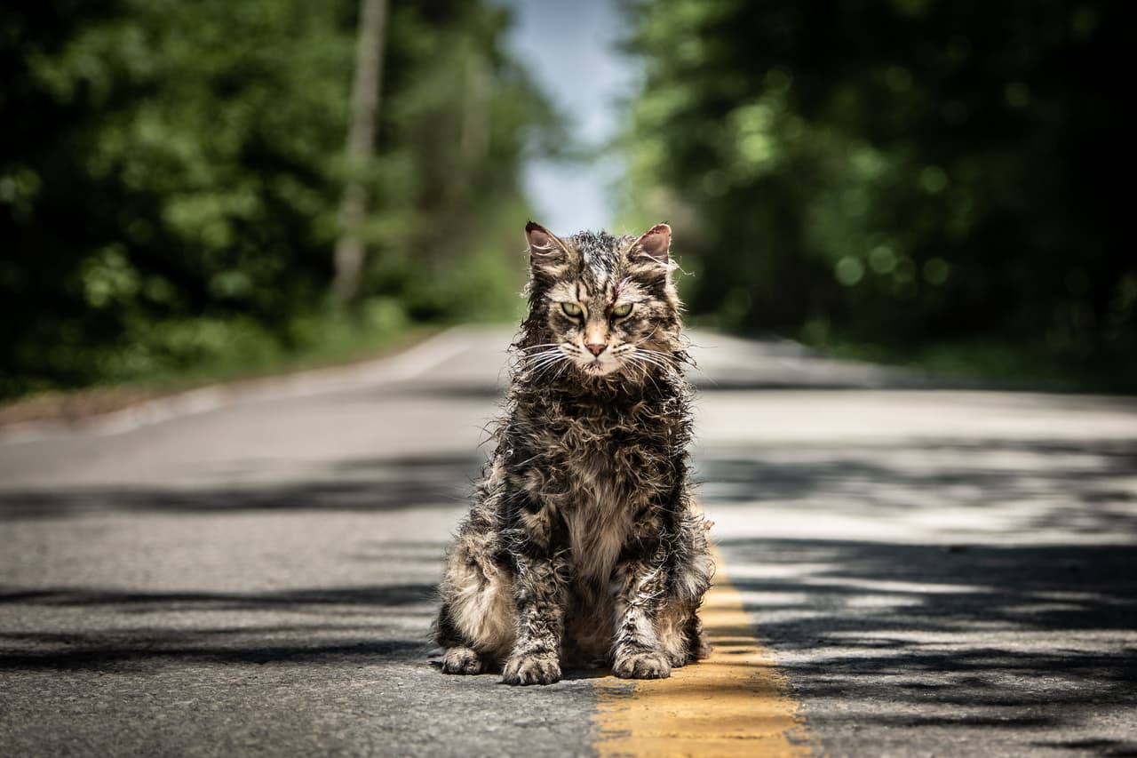 ‘Pet Sematary’ de 2019 se basa en la obra de Stephen King.