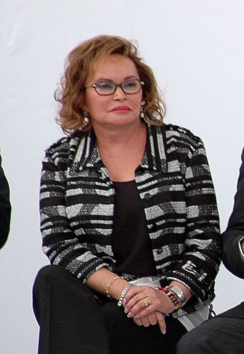 La buena aceptación hacia las bioseries ha llevado a diversos productores a buscar más historias que puedan interesar a la audiencia, siendo una de esas la relacionada con la vida de la política mexicana Elba Esther Gordillo.