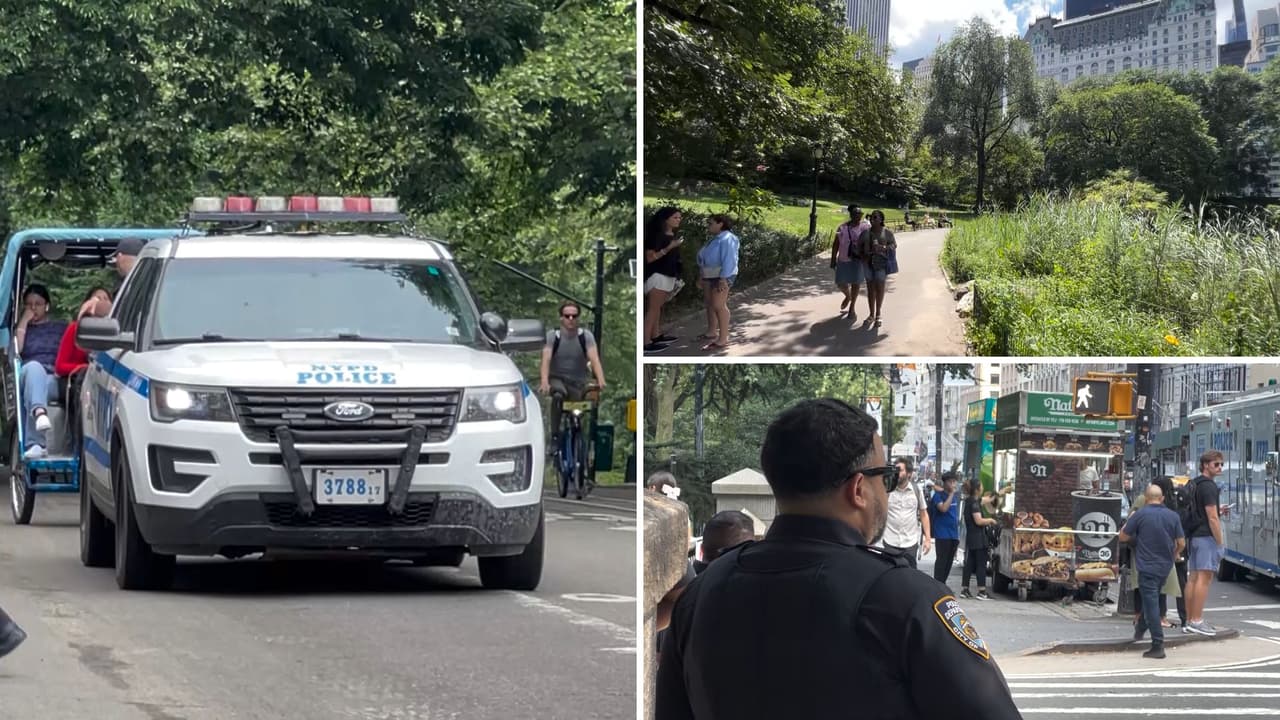 Robos a turistas en Central Park podrían estar relacionados con un grupo de jóvenes inmigrantes