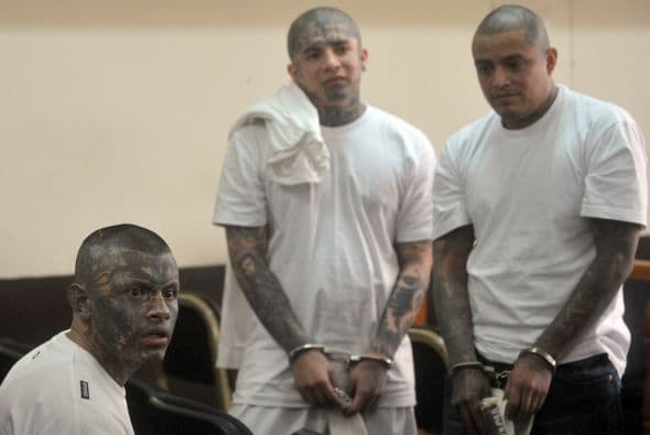 Estos grupos, de particular violencia, comparten un sentimiento gregario; sus miembros se profesan sentimientos como lealtad y solidaridad.