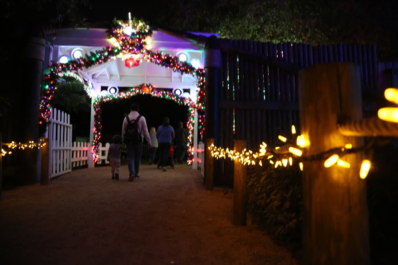 Los visitantes transitan por extensos pasajes iluminados con millones de focos navideños.