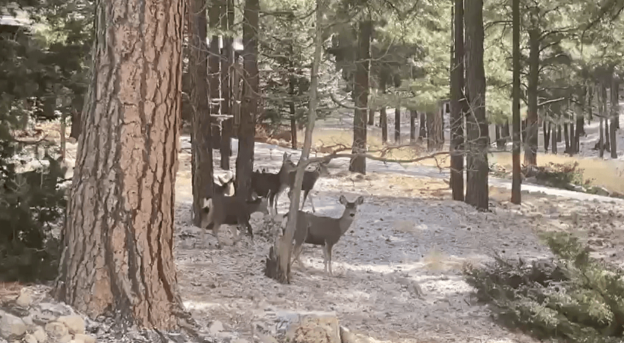 Para el fin de semana largo, se espera que
<b> las temperaturas aumenten de manera gradual</b>.