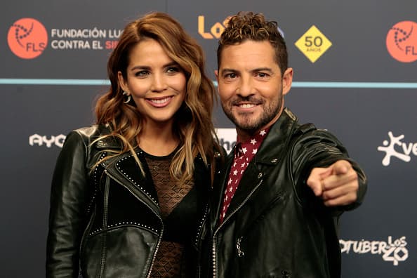 Rosanna Zanetti y David Bisbal comenzaron una relación en el 2016 y desde entonces no se han separado.