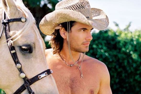 <b>Mario Cimarro </b>le dio vida a Luis Mario Arismendi. Si bien el cubano ya había participado en múltiples telenovelas, con 
<a href="https://www.univision.com/famosos/gata-salvaje-segunda-parte-audiolibro">‘Gata salvaje’ </a>se consolidó como uno de los galanes más cotizados de principios de los 2000.