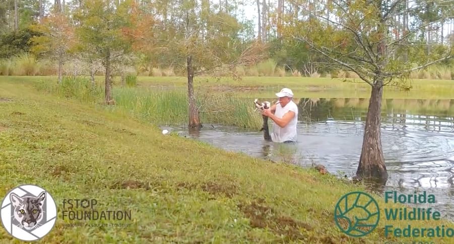 A finales del mes de noviembre los floridanos también se sorprendieron con el video de un hombre que se metía a un lago, para salvar a su perro de un cocodrilo.