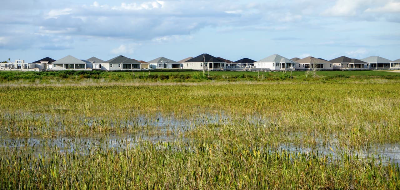 ¿Podrían los jubilados blancos de Florida inclinar la balanza a favor de Trump?
