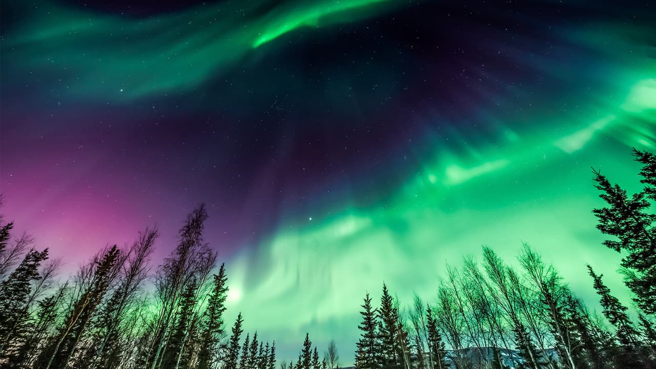 Aurora Boreal iluminará los cielos de Norteamérica y podría ser visible en Arizona