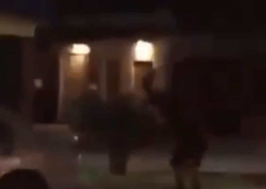 Con sangre fría, el joven levantó el hacha que tenía en su mano derecha y sin escrúpulos cortó el cuello de 'Rodolfo Corazón',
<b> un <a href="https://www.univision.com/temas/perros">perro </a>de la calle querido y cuidado por la comunidad de un barrio en Los Mochis, Sinaloa</b> (en el noroeste de México) quien murió al instante. 
<br>