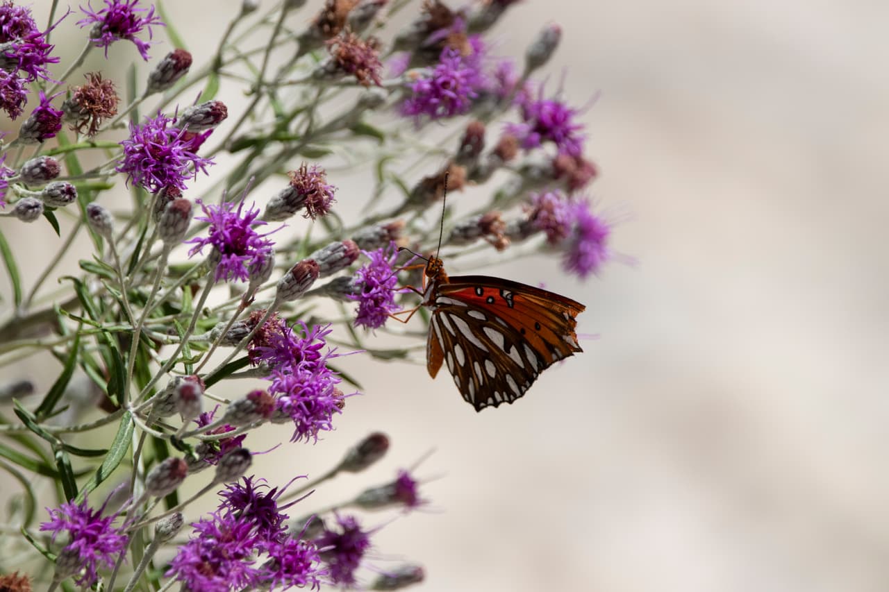 El Servicio Nacional de Meteorología activó un aviso por calor que está vigente a partir de la 1pm hasta las 8pm de este viernes.