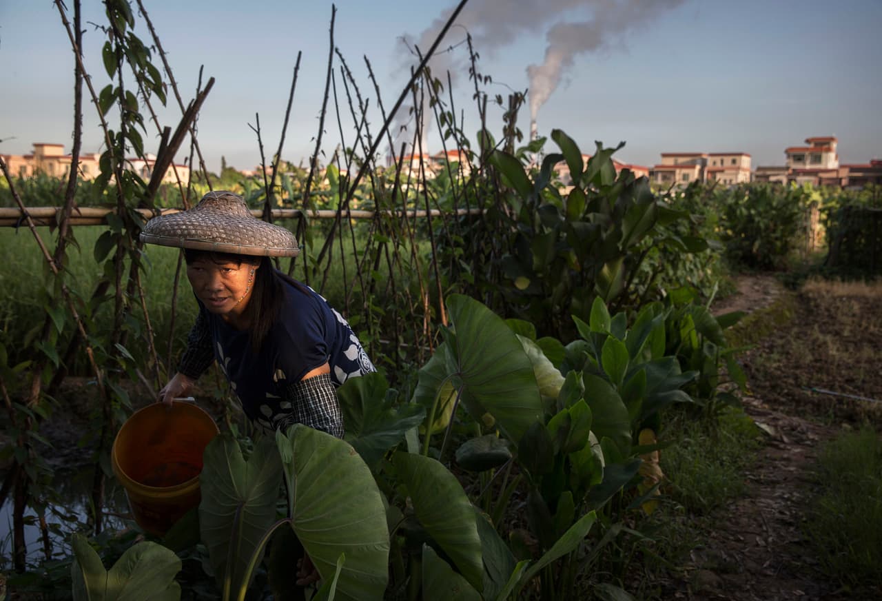En el 2014 China registró cerca de 47,000 casos de dengue, la mayoría en la provincia de Guangdong.