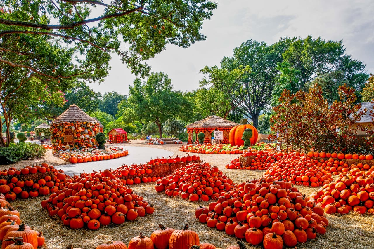 Las entradas pueden comprarse en esta
<a href="https://www.dallasarboretum.org/" target="_blank">página web</a> y este es su costo:
<br>🎟️ $14 para niños de 2 a 12 años
<br>🎟️ $16 para mayores de 65 años
<br>🎟️ $20 para adultos
<br>🎟️ Gratis niños menores de 2 años
<br>🚗 $11 por estacionamiento si la compra es en línea y $15 al comprarlo en la puerta.