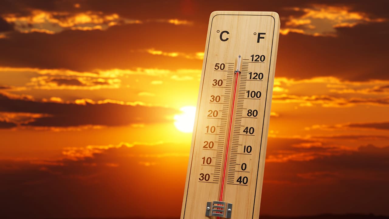 <h3 class="cms-H3-H3">El verano no perdona</h3>
<br>
<br>👉🏻 Las olas de calor en Texas pueden durar semanas, 
<b>con temperaturas por encima de los 100 °F (38 °C o más)</b>. En julio y agosto, el consumo eléctrico se dispara y los cortes de energía no son raros. Las ciudades activan centros de enfriamiento para personas sin aire acondicionado. 
<br>
<br>
<b>🔍 Precauciones:</b> Hidratación constante, revisión del sistema de aire acondicionado antes del verano, y monitoreo del uso eléctrico. También es útil conocer los recursos locales: en Dallas, Fort Worth y Houston existen 
<b>programas de asistencia energética para hogares de bajos ingresos.</b>