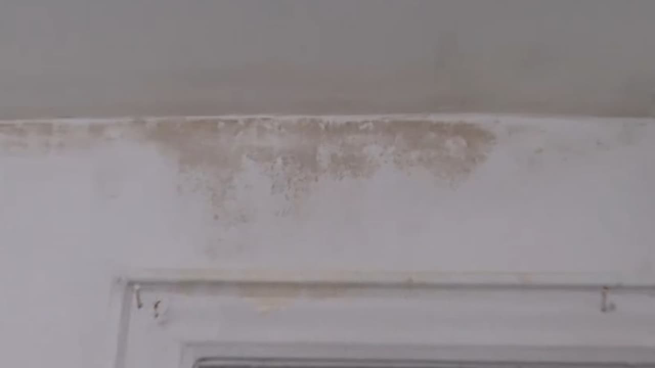 Y producto de las filtraciones, 
<b>aparece el moho, que no solo mancha las paredes, sino que representa un peligro para la salud respiratoria</b>. Los vecinos aseguran que han reportado cada detalle, pero no reciben respuestas.