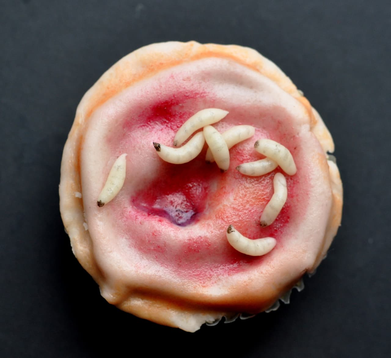 La habilidad de la repostera es impresionante, por eso ha sido contratada muchas veces para hacer los pasteles más especiales y escalofriantes.