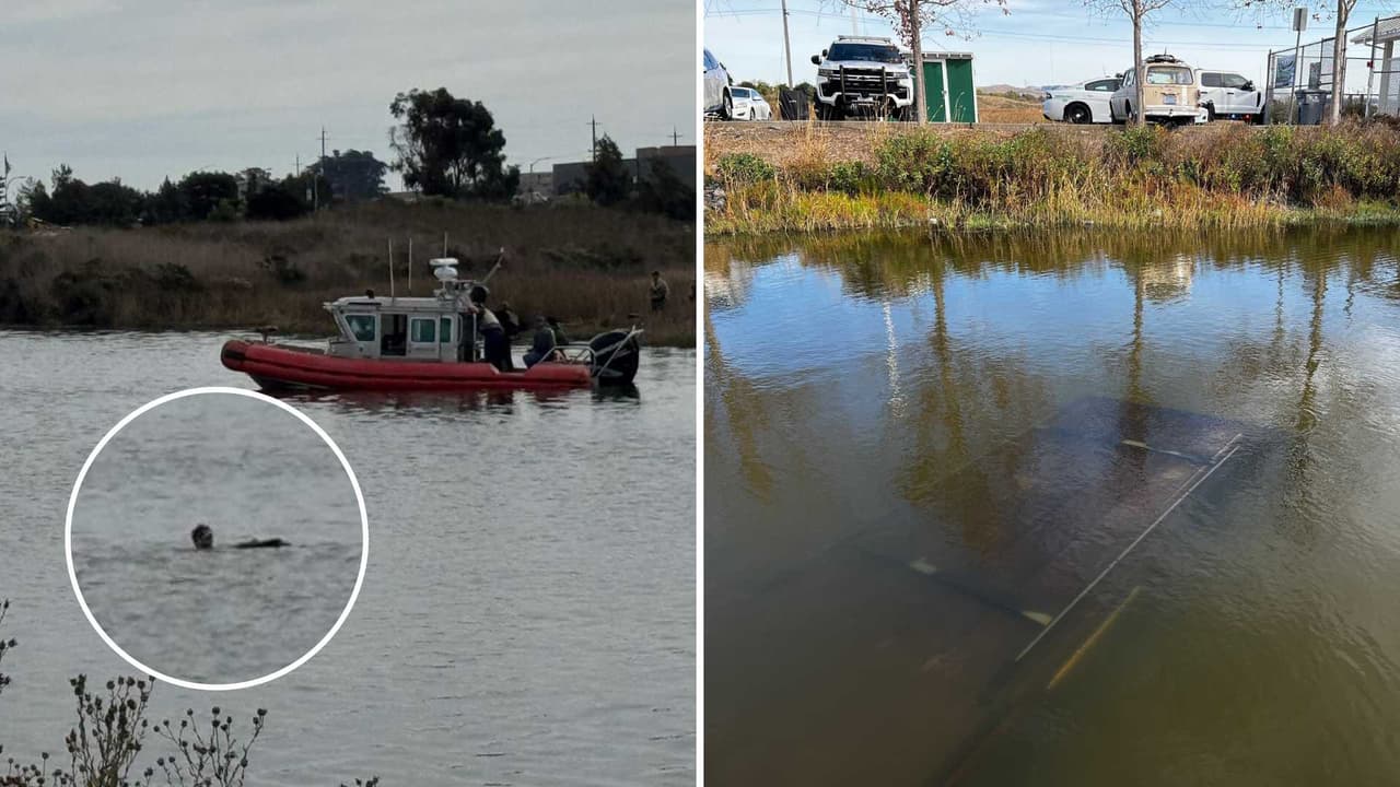 Persecución policial termina con sospechoso armado en aguas del puerto de Petaluma