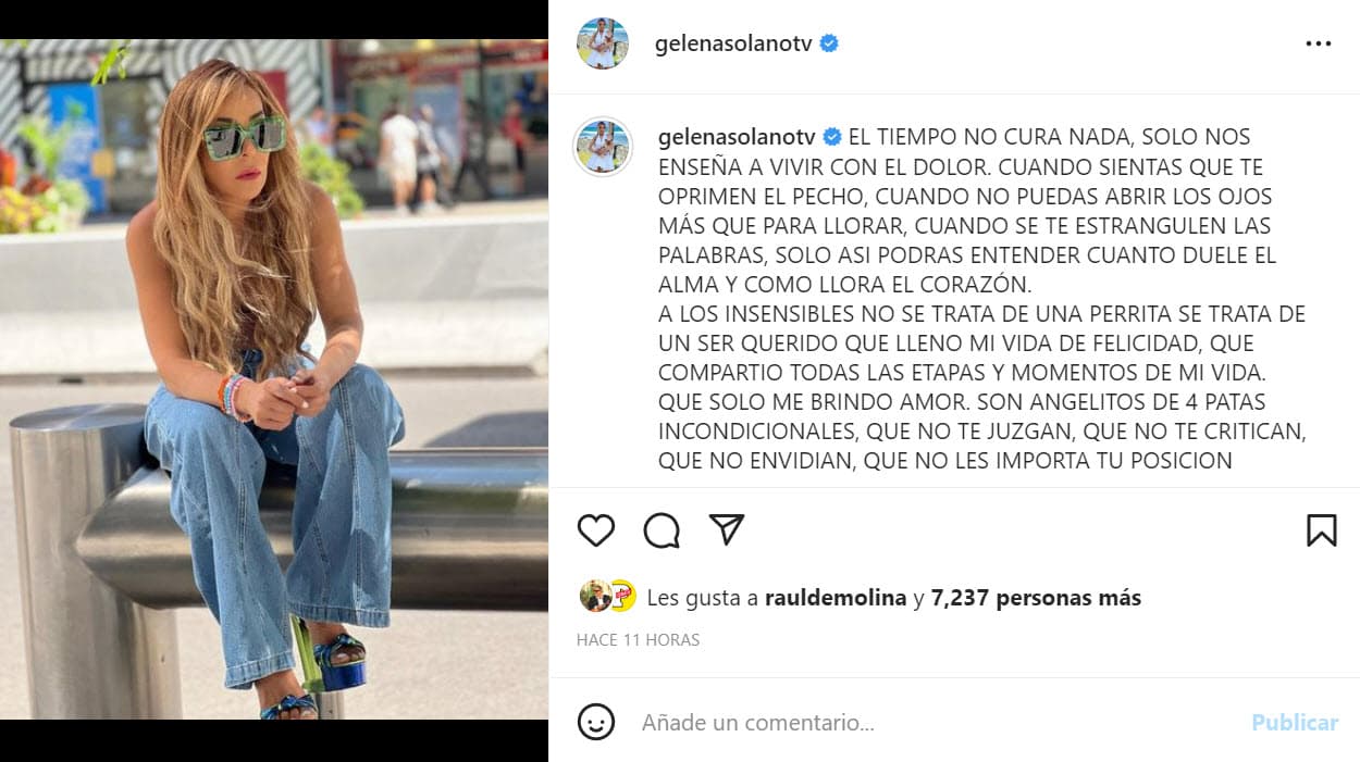 "Compartió todas las etapas y momentos de mi vida. Que solo me brindó amor.
<b>Son angelitos de 4 patas incondicionales</b>", aclaró en su escrito que acompañó con esta foto en la que se le ve con un rostro serio ante el dolor por el que atraviesa.
<br>