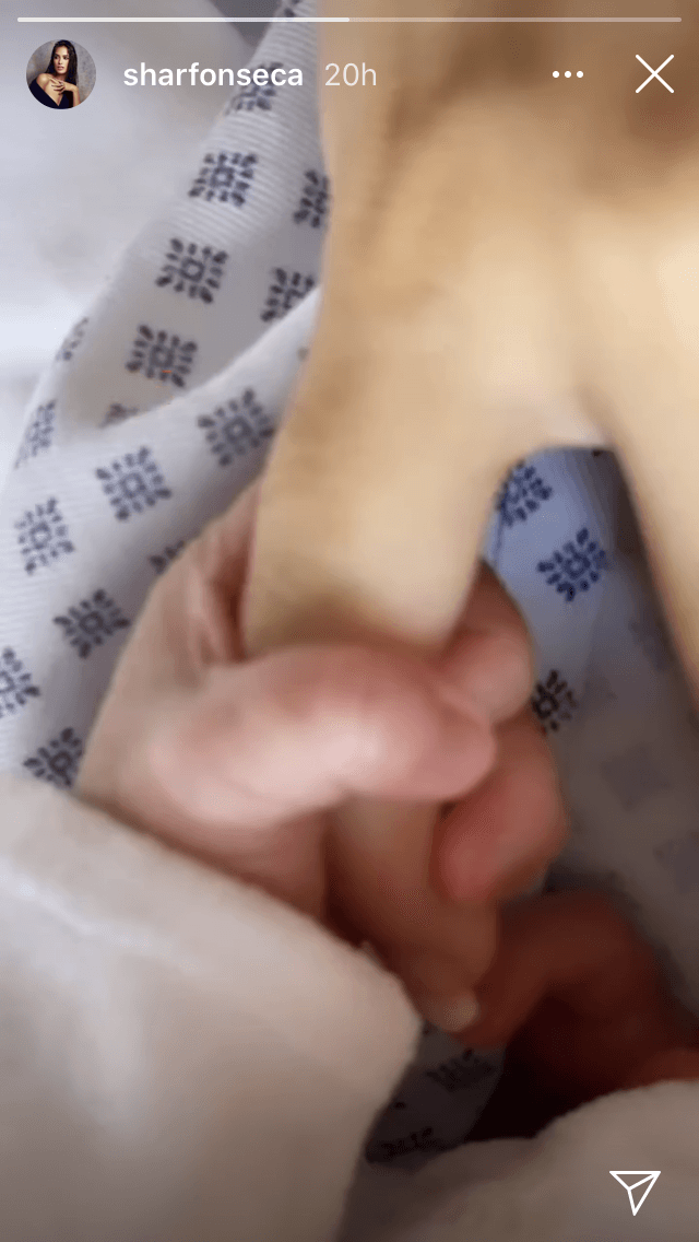 La noche del miércoles 28 de octubre, la venezolana publicó esta foto en la que se aprecia una de las manos de Blu Jersusalema.
<br>